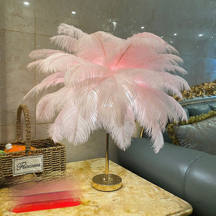 Natural Ostrich Feather USB Charging Night Lamp